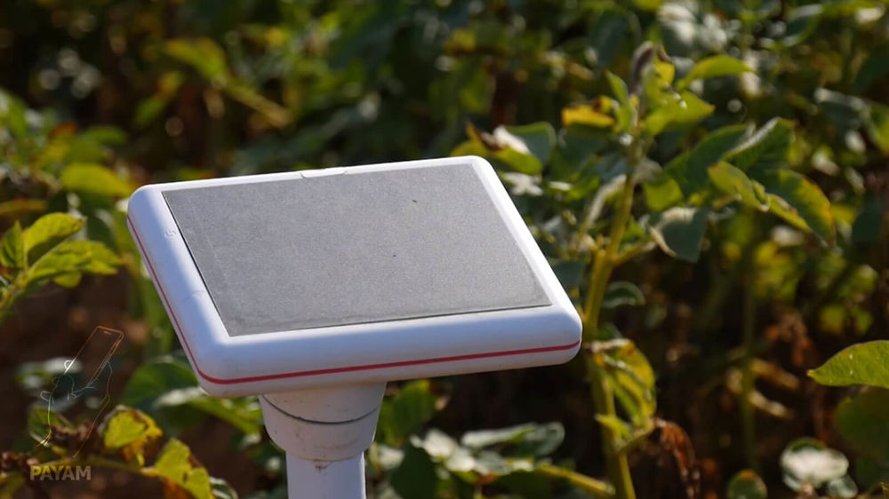 irrigation sensor